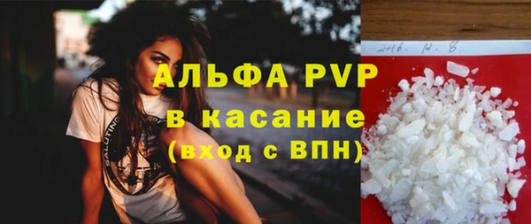 сатива Волоколамск