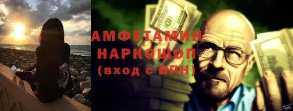 сатива Волоколамск
