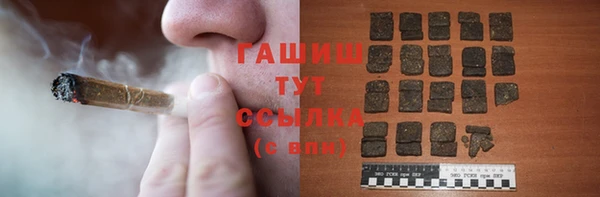 сатива Волоколамск