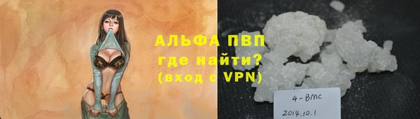 сатива Волоколамск