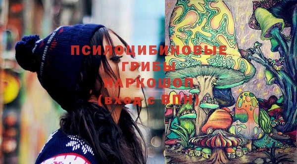 хмурый Волосово