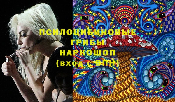 сатива Волоколамск