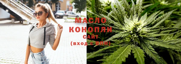 сатива Волоколамск