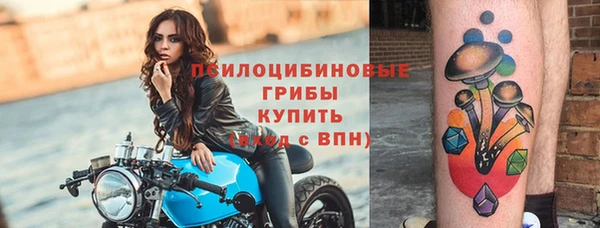 сатива Волоколамск