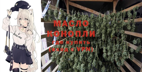 сатива Волоколамск