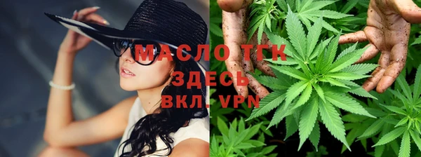 сатива Волоколамск